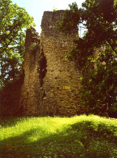 Одна из разрушенных
    башен комплекс